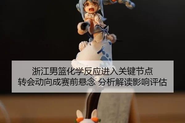 浙江男篮化学反应进入关键节点 转会动向成赛前悬念 分析解读影响评估